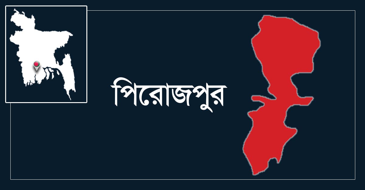 ইঁদুর মারার ফাঁদে পড়ে দুই ভাইয়ের মৃত্যু