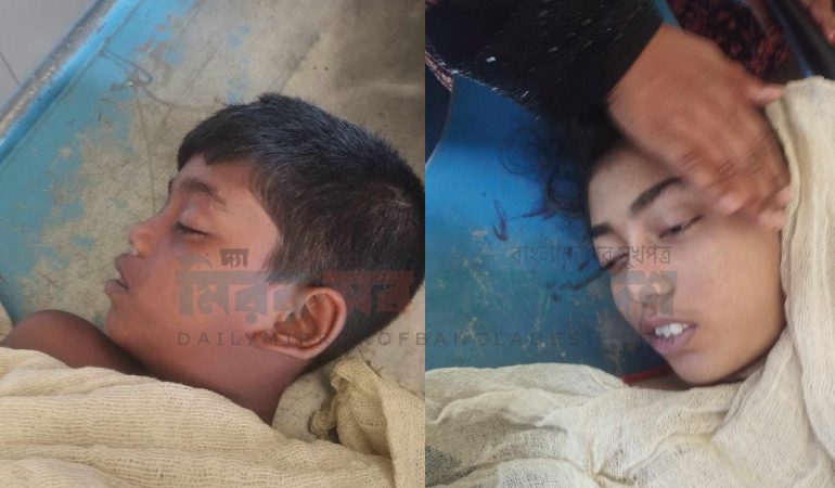নানার বাড়িতে বেড়াতে এসে পানিতে ডুবে ভাই-বোনের মৃত্যু
