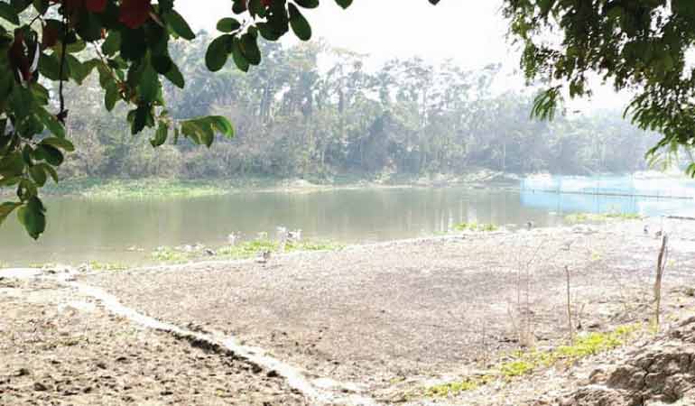 বিএসএফের কাছ থেকে নদী দখলমুক্ত করল বিজিবি