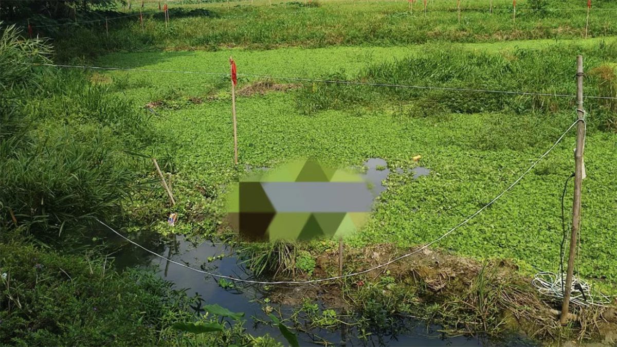 শাবিপ্রবির লেক থেকে শ্রমিকের মরদেহ উদ্ধার