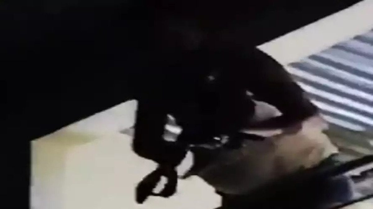 পোষা কুকুরের লড়াই নিয়ে বিবাদ-গোলাগুলি, প্রাণ গেল দুজনের