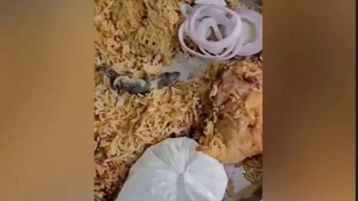অনলাইনে অর্ডার করা বিরিয়ানিতে মিলল টিকটিকি (ভিডিও)
