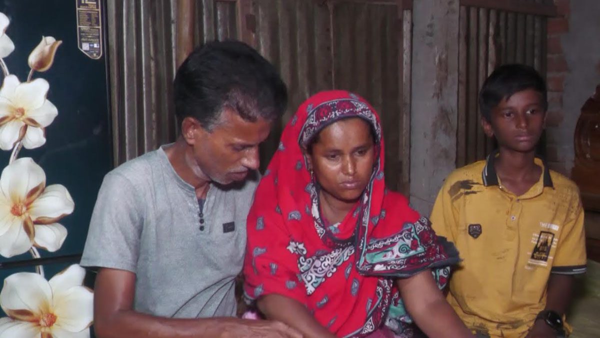 জামালপুরে কুকুরের কামড়ে শিশুসহ ২৫ জন আহত