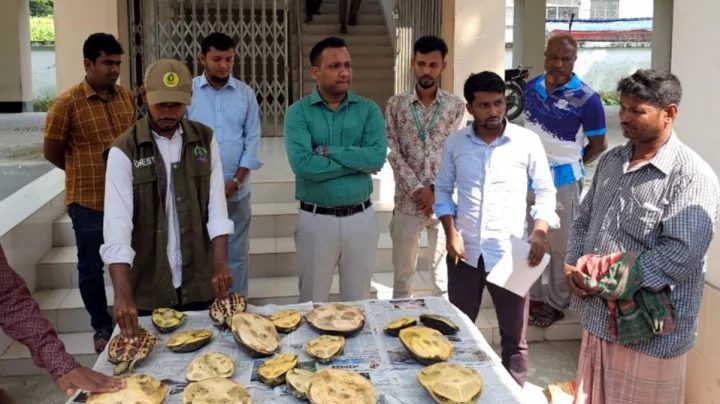 শ্বশুরবাড়ির খায়েস মেটাতে গিয়ে জামাইয়ের এক বছর জেল
