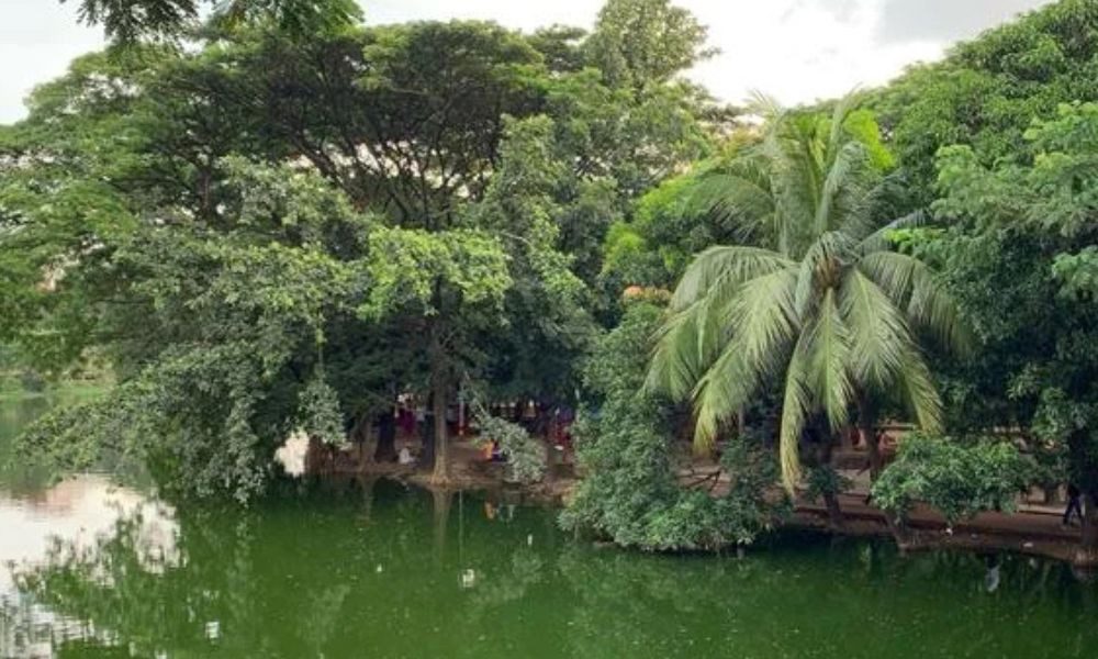 ধানমন্ডি লেক থেকে মরদেহ উদ্ধার