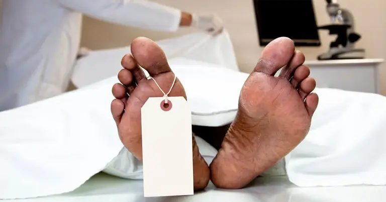 কুষ্টিয়ায় ট্রাকচাপায় আগলামন চালক নিহত