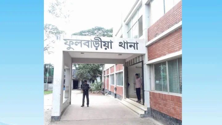 ভিমরুলের কামড়ে প্রাণ গেল নানি-নাতনির