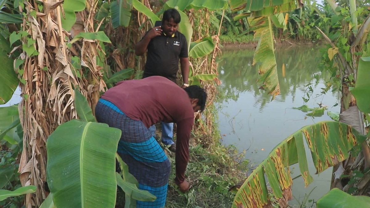 রাতের আঁধারে জলাশয় থেকে মাছ চুরির অভিযোগ