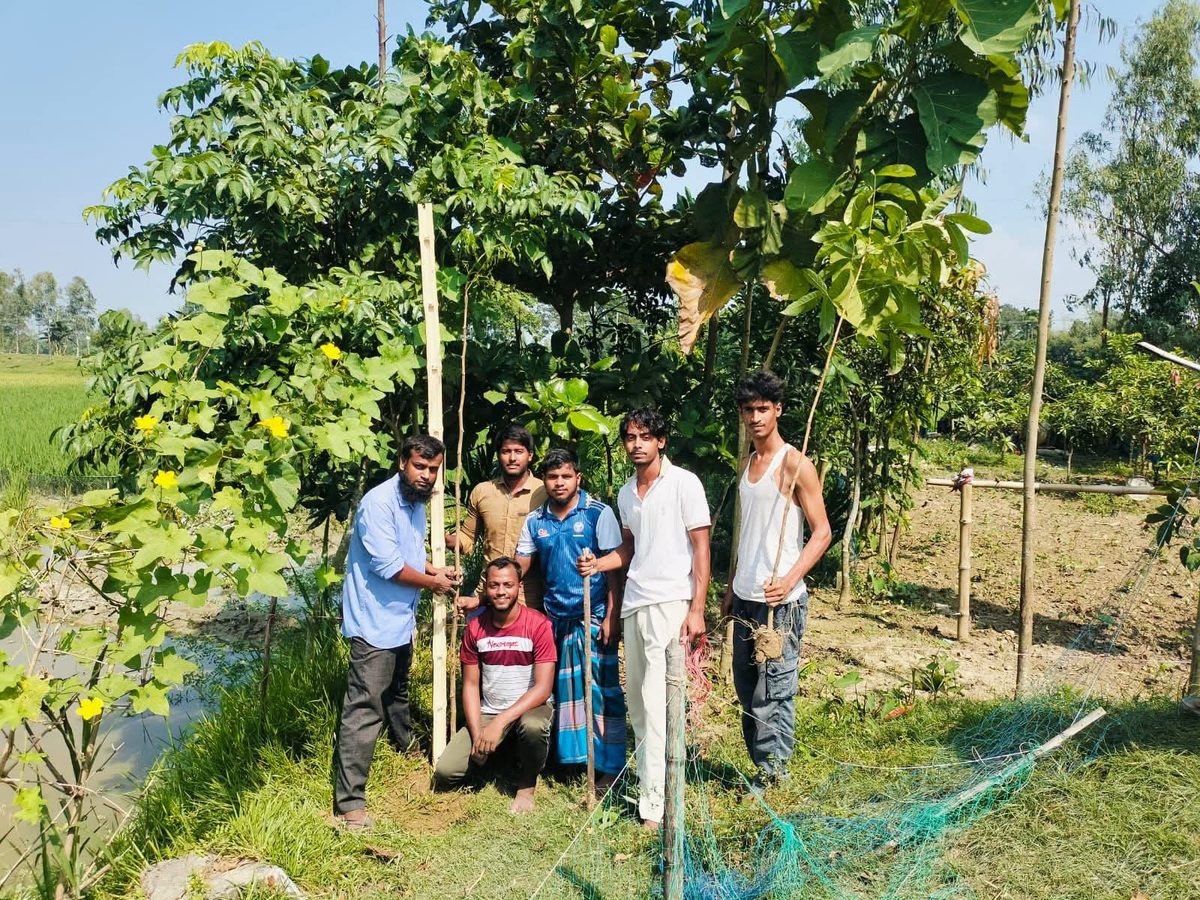 মেলান্দহে তারাকান্দি সমাজ কল্যাণ সংঘের বৃক্ষরোপণ কর্মসূচি
