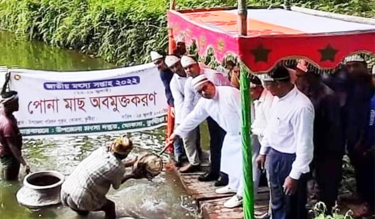 Khokha