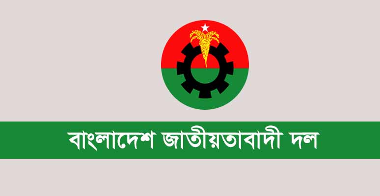 BNP LOGO